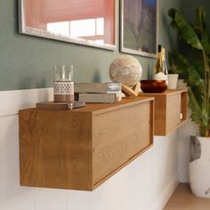 a shelf with some books and candles on top of it next to a potted plant