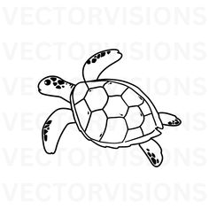 a black and white drawing of a sea turtle with the words vectopisions on