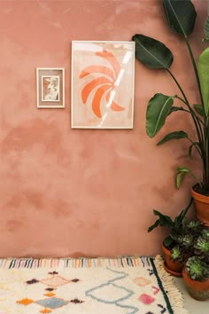 two potted plants sit on a rug in front of a pink wall with framed pictures