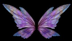 two purple and blue butterflies with wings spread out, on a black background in the shape of a butterfly