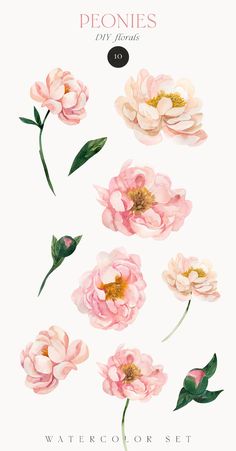 pink flowers with green leaves are shown in this watercolor painting style set on white paper