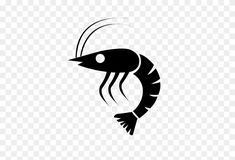 a black and white silhouette of a fish on a transparent background, hd png