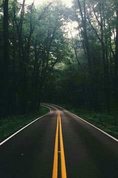 an empty road surrounded by trees in the middle of the day with no one on it