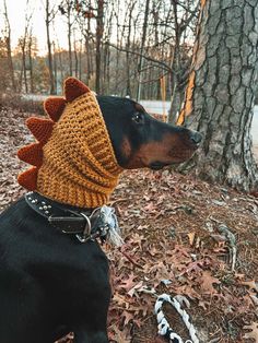 a dog wearing a knitted hat with spikes on it's head sitting next to a tree