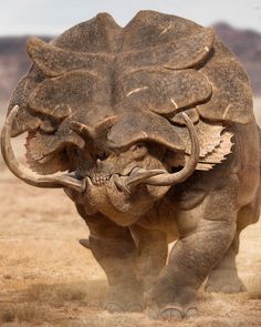 an elephant with large tusks walking in the desert