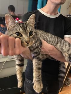 a man holding a cat in his hands