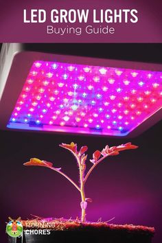 the led grow lights guide for growing plants