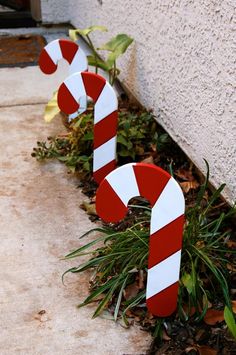 two red and white candy canes sitting on the ground next to a wall with plants