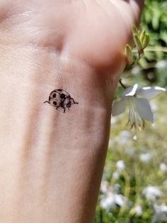 a lady bug tattoo on the foot of a person's left hand, with white flowers in the background