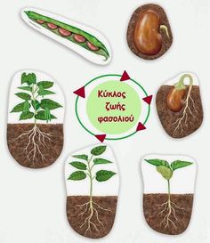 an image of plant life in the soil with roots and leaves cut out to look like they are growing