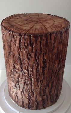 a cake made to look like a tree stump is sitting on a white plate,