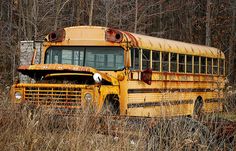 an old yellow school bus sitting in the woods