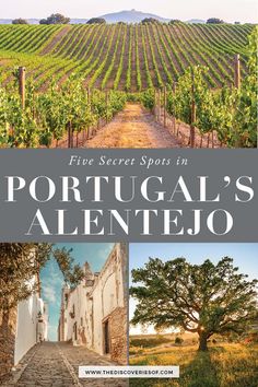 the front cover of portugal's alentejo, with images of vineyards and trees