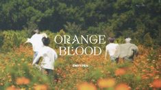 an orange blood album cover with three people in a field full of wildflowers