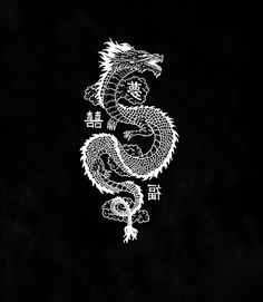 a black and white drawing of a dragon with chinese characters on it's back