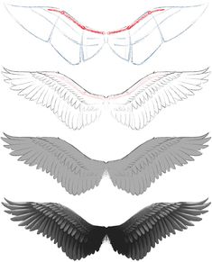 four different types of wings on a white background