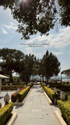 the walkway is lined with bushes and trees