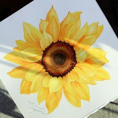 a yellow sunflower painted on white paper