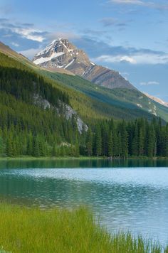 a lake surrounded by mountains and trees in the foreground