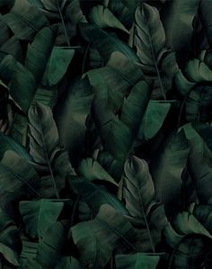 a bunch of green leaves that are next to each other on a wallpaper background