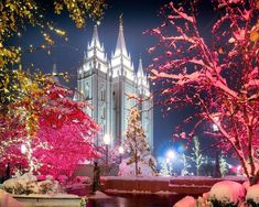 the cathedral lit up at night with pink trees and snow on the ground in front of it