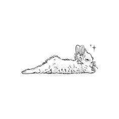 a drawing of a cat laying down on its back with the caption's name written below it