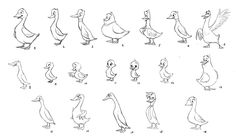 an image of how to draw ducks step by step