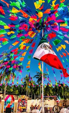 colorful flags are flying in the air at an outdoor event with palm trees and blue sky