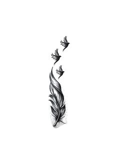 a black and white photo of a feather with three small birds flying around the feathers