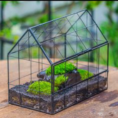 a glass house with moss growing inside on a wooden table in front of some plants