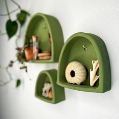 two green shelves with plants and other items on them