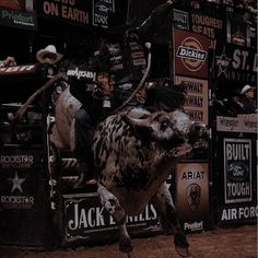 a man riding on the back of a cow in front of a building filled with signs