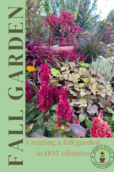 an image of a garden with flowers and plants in the foreground text reads creating a full garden in hot climates