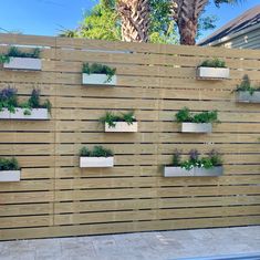 a wooden fence with several planters on it and some palm trees in the background