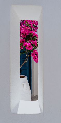 a white vase filled with pink flowers sitting in front of a blue and white door