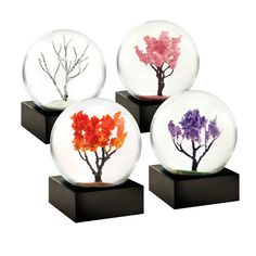 four snow globes with trees in them on black bases, each containing different colored leaves