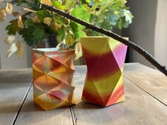 two vases sitting on top of a wooden table next to a potted plant