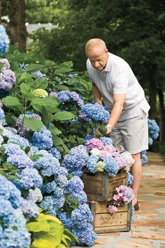 a man picking up blue and pink flowers from a garden box in the middle of a walkway