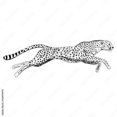 a black and white drawing of a cheetah running through the air with its tail extended