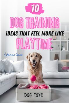 a dog is sitting in a play time box with pink balls and toys on the floor