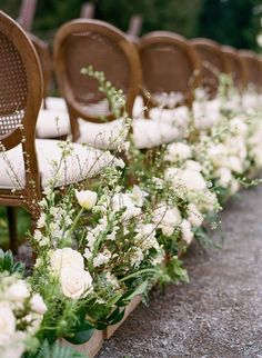 rows of chairs lined up with flowers and greenery