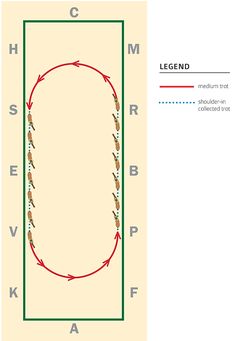 a diagram showing the length and direction of an oval with arrows pointing to each other