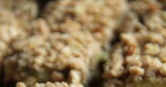 close up view of some food that is made with oatmeal