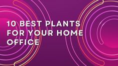 the words 10 best plants for your home office on a purple background with swirls