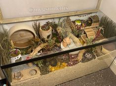 a glass display case filled with lots of plants