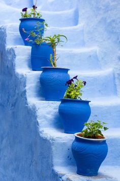 several blue pots with plants growing out of them on the side of some white steps