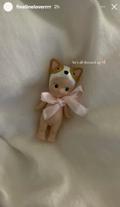 a small toy dog with a pink bow on it's head sitting on a white sheet