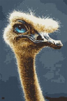 an ostrich's head with blue eyes is shown in this cross stitch pattern