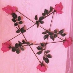 pink flowers are arranged in the shape of a star