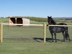 a black horse standing next to a wooden fence